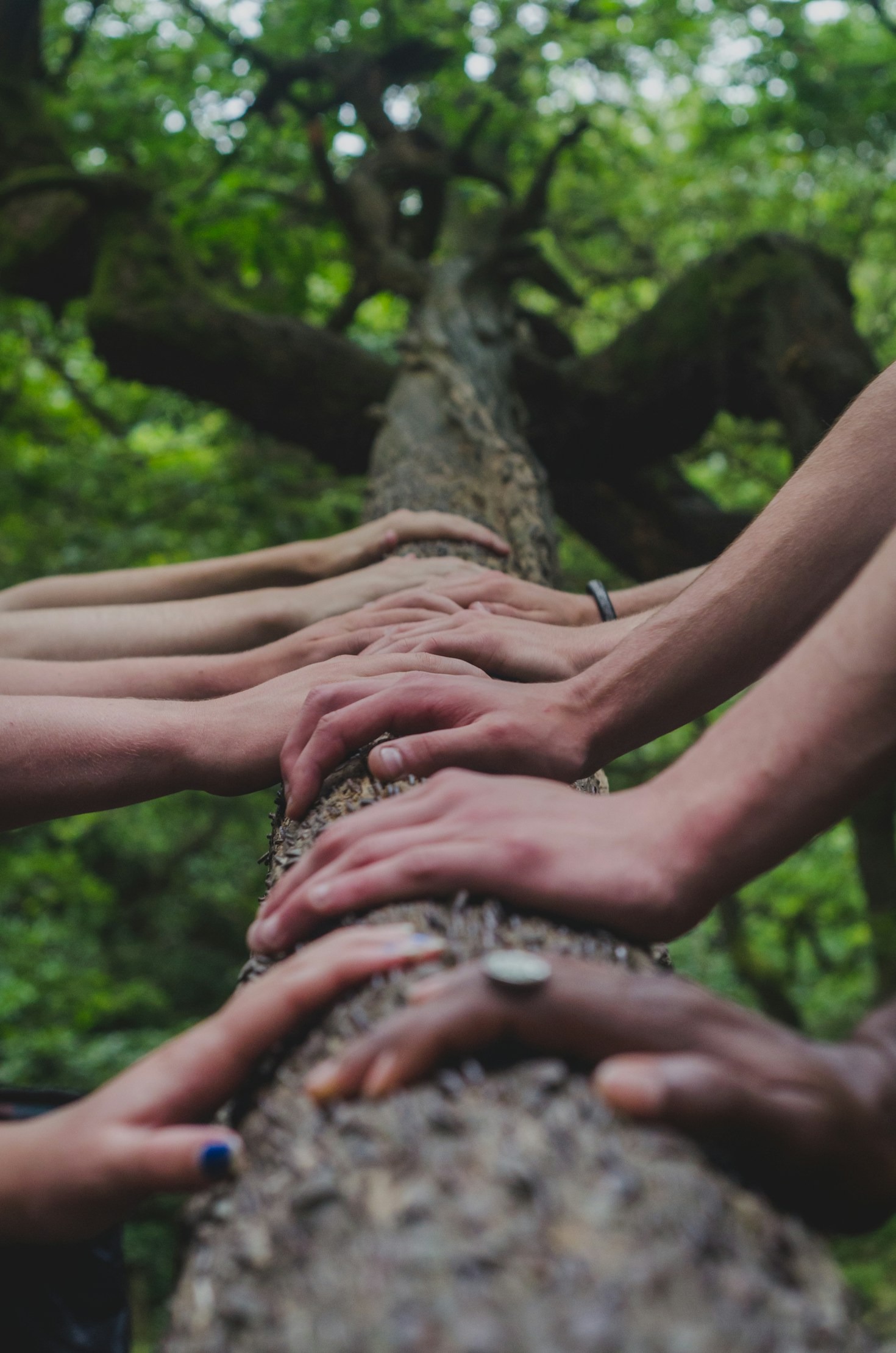Celebrating Your Passion in a Supportive Community